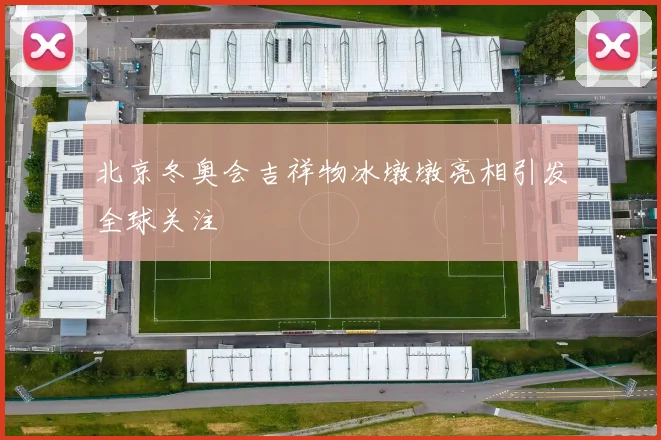 北京冬奥会吉祥物冰墩墩亮相引发全球关注