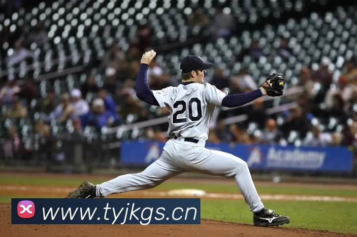 bsport在线登录平台生态图
